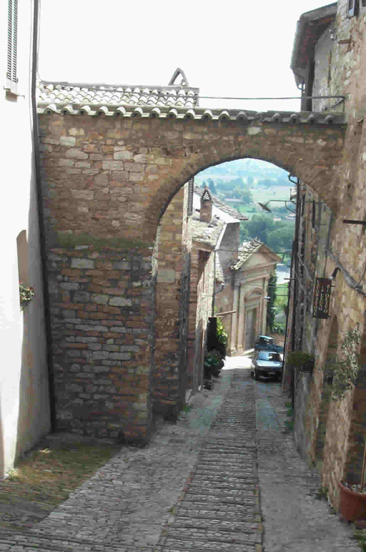 A view from up the hill