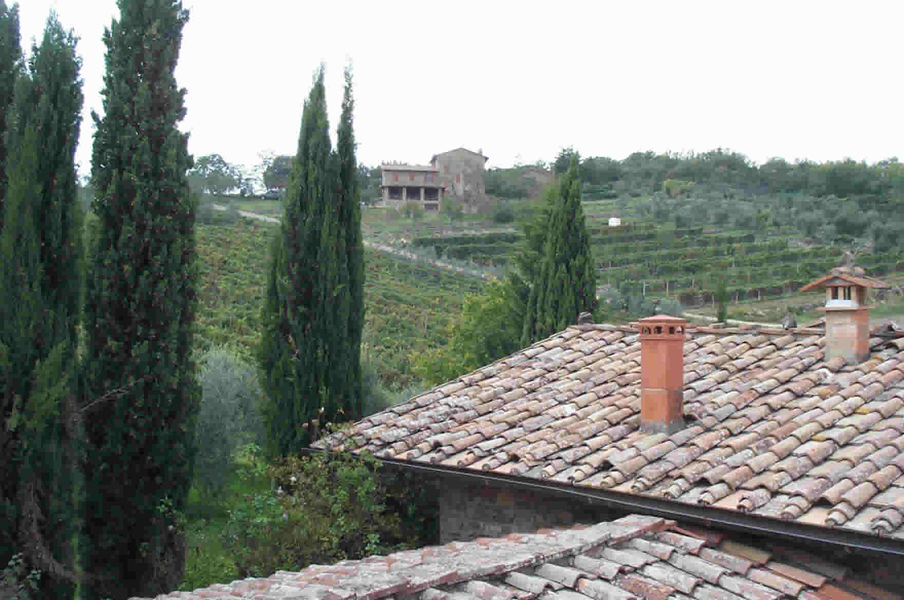 Hillside view
