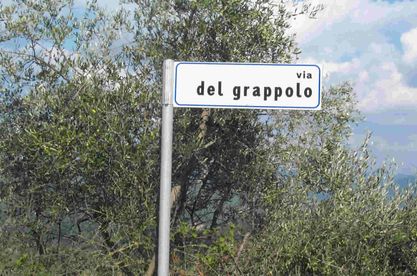 Via del Grappolo