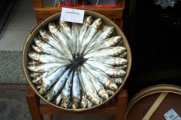Sardinas