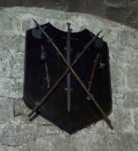 Medieval Shield