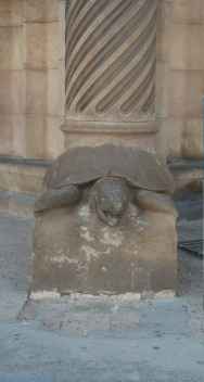 Turtle