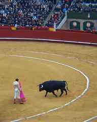 Matador and Bull