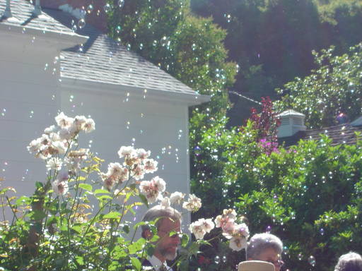 Bubbles